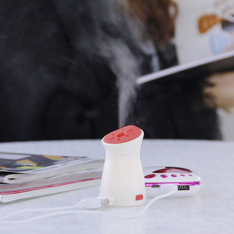 Creative Cute Mini  Air Humidifier