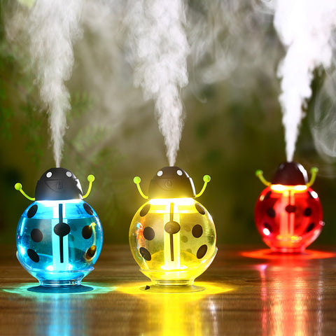 Lady Bug Humidifier