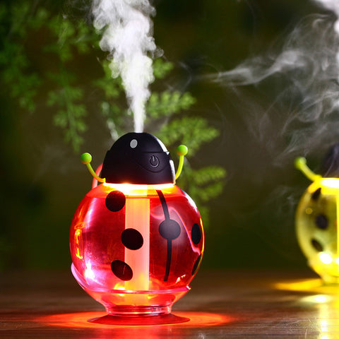 Lady Bug Humidifier